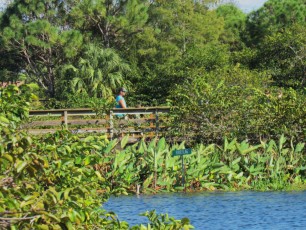 Wakodahatchee Wetlands à Delray Beach
