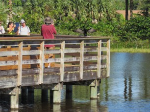 Wakodahatchee Wetlands à Delray Beach
