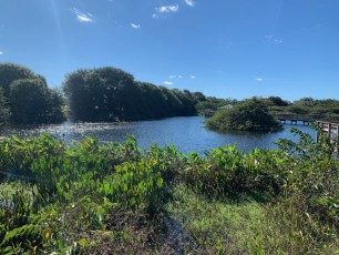 Wakodahatchee Wetlands à Delray Beach