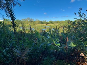 Wakodahatchee Wetlands à Delray Beach