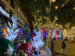 Decorations-illuminations-de-Noel-Naples-Floride-6119