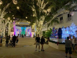Decorations-illuminations-de-Noel-Naples-Floride-6122