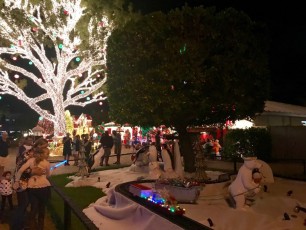 Decorations-noel-macek-family-pompano-beach-floride-7204