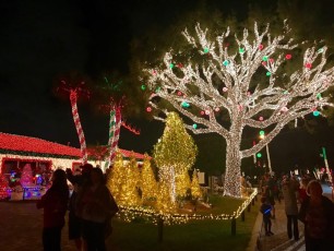 Decorations-noel-macek-family-pompano-beach-floride-7236