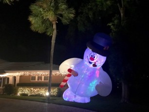 Decorations-noel-macek-family-pompano-beach-floride-7244