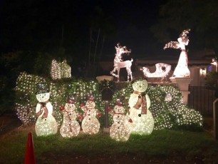 Decorations-noel-macek-family-pompano-beach-floride-7246