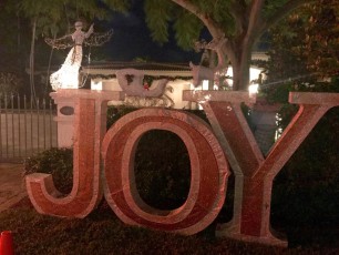 Decorations-noel-macek-family-pompano-beach-floride-7250