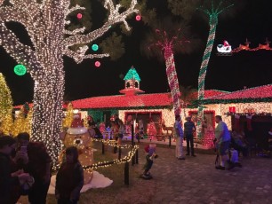Decorations-noel-macek-family-pompano-beach-floride-7262