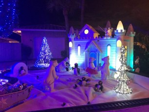 Decorations-noel-macek-family-pompano-beach-floride-7267