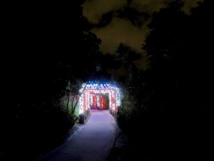 Les illuminations de Noël au Mounts Botanical Garden de West Palm Beach
