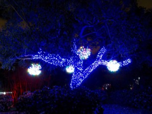 Mounts-Botanical-Gardens-Palm-Beach-decorations-illuminations-noel-2563
