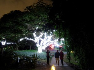 Les illuminations de Noël au Mounts Botanical Garden de West Palm Beach