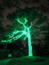 Mounts-Botanical-Gardens-Palm-Beach-decorations-illuminations-noel-2635