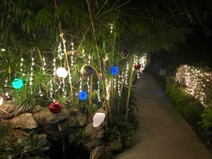 Mounts-Botanical-Gardens-Palm-Beach-decorations-illuminations-noel-7333