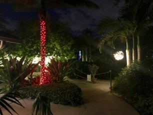 Mounts-Botanical-Gardens-Palm-Beach-decorations-illuminations-noel-7334