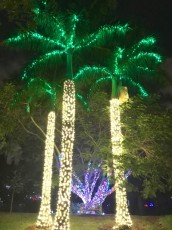 Mounts-Botanical-Gardens-Palm-Beach-decorations-illuminations-noel-7363
