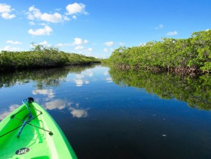 Kayak-Canoe-John-Pennekamp-State-Park-Key-Largo-Floride-5218