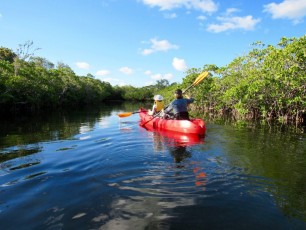 Kayak et canoë au John Pennekamp park de Key Largo, en Floride.