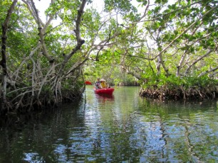 Kayak-Canoe-John-Pennekamp-State-Park-Key-Largo-Floride-5295