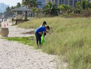 Les Canadiens ont nettoyé la plage de Hollywood (Floride)