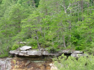 Fall-Creek-Falls-chutes-parc-riviere-Tennessee-1506