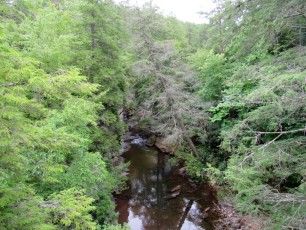 Fall-Creek-Falls-chutes-parc-riviere-Tennessee-1516