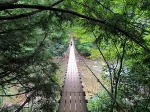 Fall-Creek-Falls-chutes-parc-riviere-Tennessee-1541