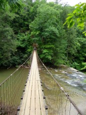 Fall-Creek-Falls-chutes-parc-riviere-Tennessee-1543