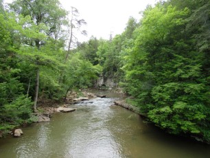 Fall-Creek-Falls-chutes-parc-riviere-Tennessee-1549