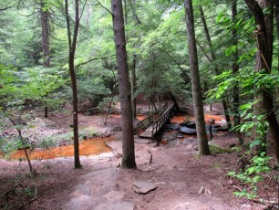 Fall-Creek-Falls-chutes-parc-riviere-Tennessee-1572