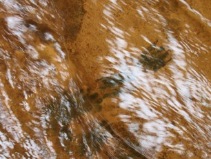 Fall-Creek-Falls-chutes-parc-riviere-Tennessee-1577