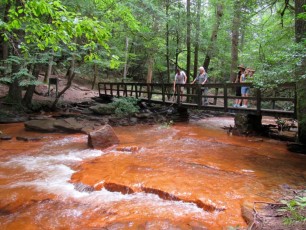 Fall-Creek-Falls-chutes-parc-riviere-Tennessee-1582