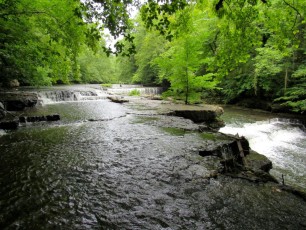 Old-Stone-Fort-Park-Parc-Nature-riviere-chute-d-eau-Tennessee-1432