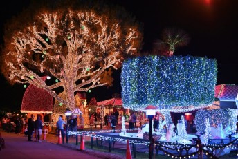 decoration-noel-pompano-beach-Floride-6868
