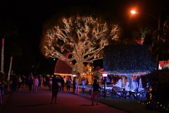 decoration-noel-pompano-beach-Floride-6882