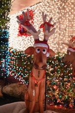 decoration-noel-pompano-beach-Floride-6930