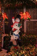 decoration-noel-pompano-beach-Floride-6936