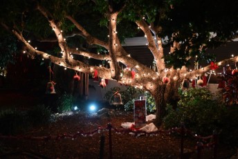 decoration-noel-pompano-beach-Floride-6948
