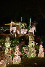 decoration-noel-pompano-beach-Floride-6950