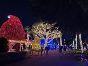 decoration-noel-pompano-beach-Floride-7071