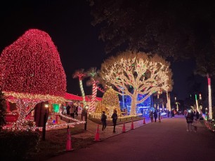 decoration-noel-pompano-beach-Floride-7073