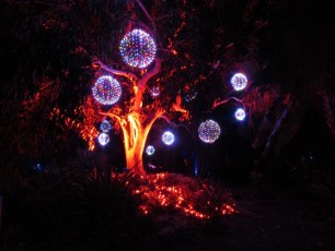 Decorations-illuminations-de-Noel-jardins-botaniques-botanical-garden-naples-Floride-3549
