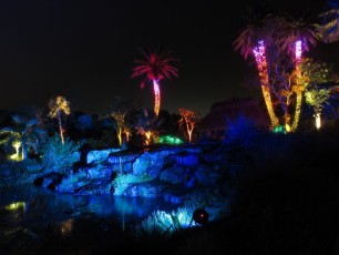 Decorations-illuminations-de-Noel-jardins-botaniques-botanical-garden-naples-Floride-3566