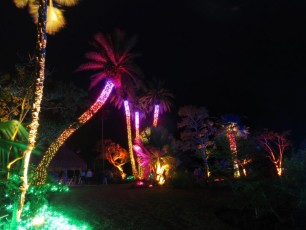 Decorations-illuminations-de-Noel-jardins-botaniques-botanical-garden-naples-Floride-3571
