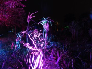 Decorations-illuminations-de-Noel-jardins-botaniques-botanical-garden-naples-Floride-3575