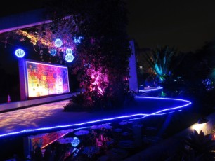 Decorations-illuminations-de-Noel-jardins-botaniques-botanical-garden-naples-Floride-3585