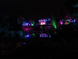 Decorations-illuminations-de-Noel-jardins-botaniques-botanical-garden-naples-Floride-3591