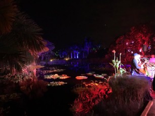 Decorations-illuminations-de-Noel-jardins-botaniques-botanical-garden-naples-Floride-5983