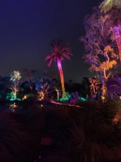 Decorations-illuminations-de-Noel-jardins-botaniques-botanical-garden-naples-Floride-6026
