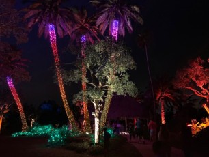 Decorations-illuminations-de-Noel-jardins-botaniques-botanical-garden-naples-Floride-6030
